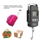 Portable Digital Luggage Scale 50kg/110lb – High Precision Travel Weight Scale with Hook - Image 6